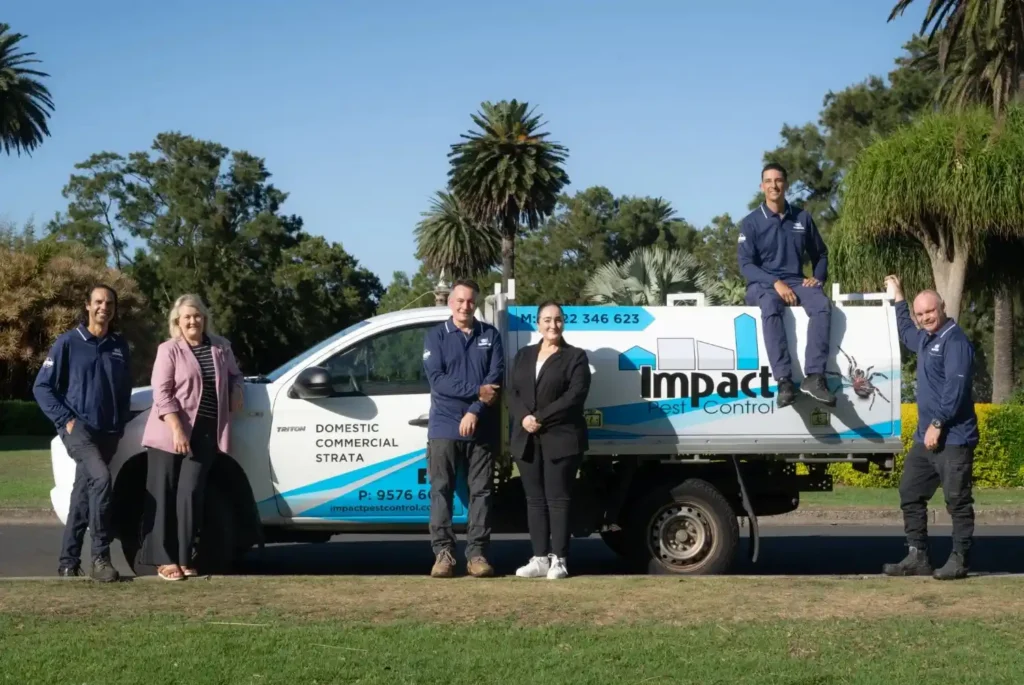 Pest Control Inner West Sydney